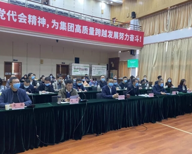 集團組織召開中(zhōng)國(guó)華西“善建雲”數字化平台财務(wù)共享咨詢方案專題彙報會